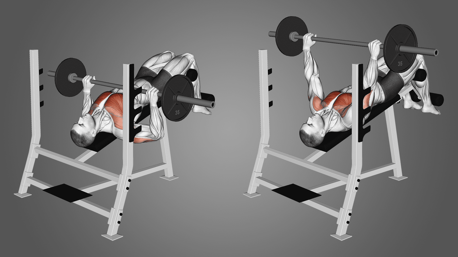How To Do Decline Bench Press Benefits And More Xpand Life 